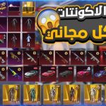 حسابات ببجي مجانا مضمون 100